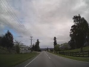 Driving SH69 from Inangahua to Cronadun