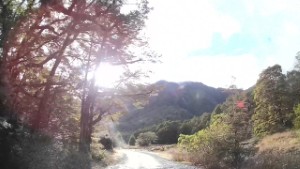 Driving around the Cascade Creek DOC Campsite