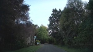 Driving Tukurua Road in Parapara | Tasman | New Zealand | 4K