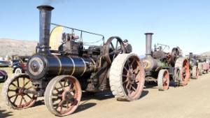 Steam Powered Traction Engines - Wheels at Wanaka