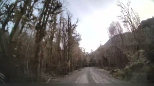 Driving Dorothy Falls Road at Lake Kaniere near Hokitika | West Coast | New Zealand | 4k