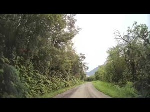 Driving from the Charming Creek Walkway Start to Seddonville | West Coast | New Zealand | 4K