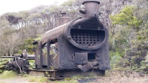 Vintage Steam Log Hauler at Mumms Mill on Charming Creek Walkway
