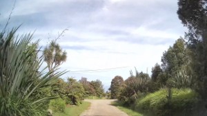 Driving Kane Street in Millerton | West Coast | New Zealand | 4K