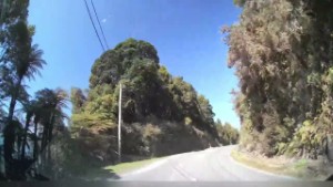 Driving Forks-Okarito Road from Okarito to SH6 - West Coast New Zealand | 4K