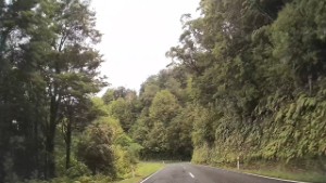 Driving from Mokihinui to Corbyvale - Road trip along Route 67 | West Coast | New Zealand | 4K