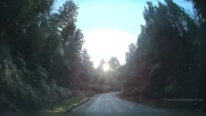 Driving Gillespies Beach Road to the Gillespies Beach Campsite | West Coast | New Zealand | 4K