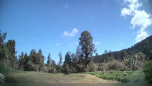 Quick look at Otto/MacDonalds DOC Campsite | West Coast | New Zealand | 4K