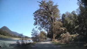 Driving Jackson River Road in Jackson Bay | West Coast | New Zealand | 4K