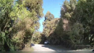Quick drive around Lake Paringa DOC Campsite | West Coast | New Zealand | 4K