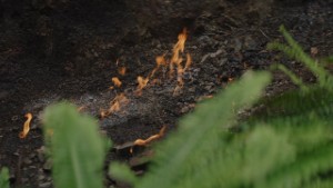 Murchison Natural Flames Attraction - The Worlds Only Continually Burning Fire in a Fairytale Forest