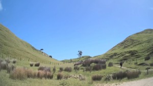Driving from Puponga to the Cape Farewell Lookout Car Park | Tasman | New Zealand | 4K