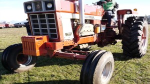 1979 International 766 Farmall Tractor in Wanaka