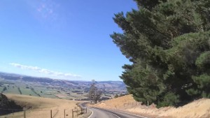 Driving down Law Road in Allanton | Otago | New Zealand | 4K
