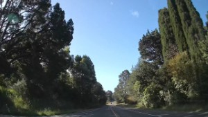 Driving SH60 from Puramahoi to Onekaka | Tasman | New Zealand | 4K