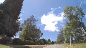 Driving Motueka Valley Highway from Woodstock to Ngatimoti | Tasman | New Zealand | 4K