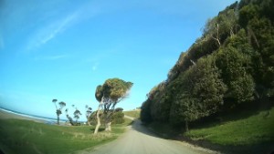 Driving Purakaunui Bay Road in the Catlins | Otago | New Zealand | 4K