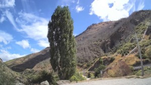 Driving from Gibbston  to the Roaring Meg Lookout | Otago | New Zealand | 4K
