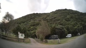 Driving around the Whites Bay Camping Area | Marlborough | New Zealand | 4K