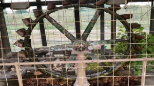 1894 Pelton Wheel