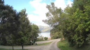 Driving around Aussie Bay DOC Campsite | Marlborough | New Zealand | 4K
