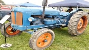 1954 Fordson Major Petrol Tractor in Palmerston