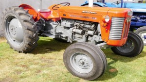1963 Massey Ferguson 65 3.1L Diesel Tractor in Ashburton