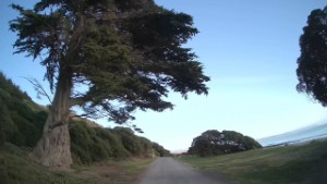Driving from Marfells Beach DOC Campsite to Blenheim