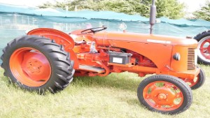 1956 David Brown 25C Tractor in Christchurch