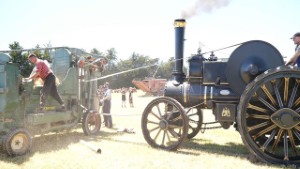 Antique 1912 Fowler Traction Engine Running a Chaff Cutter