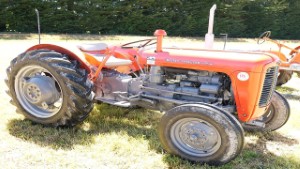 1960-65 Massey Ferguson 35 Tractor in Ashburton