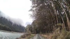 Driving from Totara Campsite to Mackay Creek in Fiordland