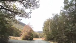 Driving from Knobs Flat to Lake Gunn Carpark in Fiordland