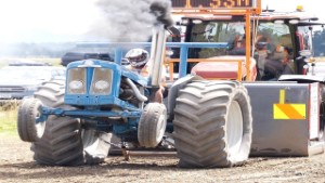 Modified Fordson Major Antique Tractor Pulling in Edendale