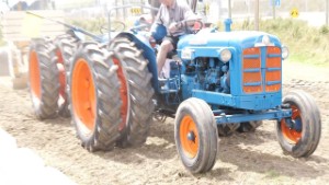 Dual Fordson Super Major Antique Tractor Pulling in Edendale