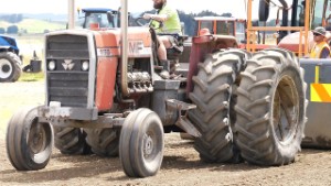 Old Massey Ferguson 1155 Tractor Pulling in Edendale