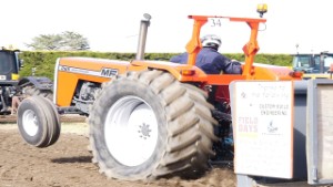 Modified Massey Ferguson 265 Tractor Pulling in Edendale
