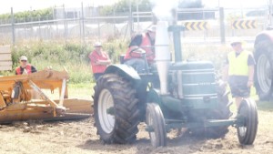 Field Marshall Antique Tractor Pulling at Edendale Crank Up