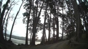 Driving around the Warrington Domain in Otago New Zealand