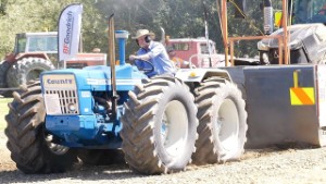 Antique Tractor Pulling - 1969 County 1124 at Southern Field Days in Waimumu