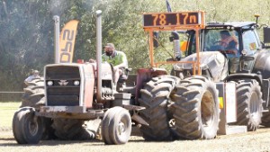 V8 Antique Tractor Pulling - Massey Ferguson 1155