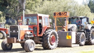 Antique Tractor Pulling - 1970s Massey Ferguson 1155