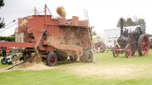 1910 Marshall Traction Engine 56720 Running a Threshing Mill