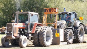 Tractor Pulling - 1988 Massey Ferguson 2680 in Waimumu