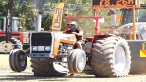 Tractor Pulling - Massey Ferguson 265 in Waimumu