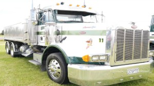 1994 Peterbilt 378 Truck in Edendale