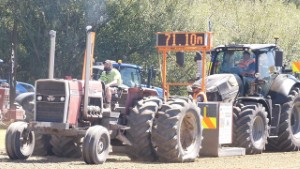 Old Massey Ferguson 1155 Antique V8 Perkins Tractor Pulling in Waimumu