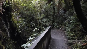 Purakaunui Falls Waterfall Walk in the Catlins in Otago New Zealand