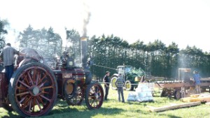Antique Burrell Traction Engine Running a Portable Sawmill