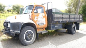 Old Bedford TJ Flatbed Truck